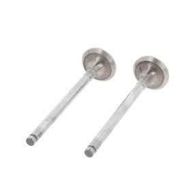 Comprar Válvula de escape de CORTECO 551148B a bajo precio de 15,97 €