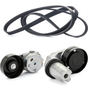 Achetez des Kit de courroie d'accessoire de chez RIDEX en ligne pour Discovery IV (L319) à prix modérés