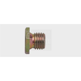 Acquista Vite di chiusura, vaschetta dell'olio da SWGAutomotive 2411121580 a buon mercato per soli 10,13 €