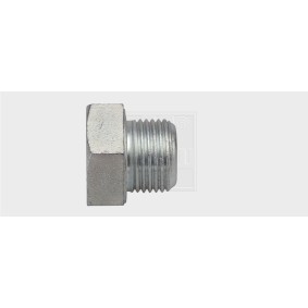 Acquista Vite di chiusura, vaschetta dell'olio da SWGAutomotive 24313200180 a buon mercato per soli 14,11 €