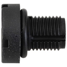 Acquista Vite / Valvola di sfiato, Radiatore da SWGAutomotive 24401017580 a buon mercato per soli 5,89 €
