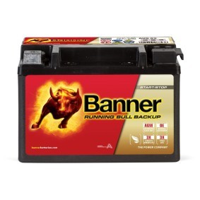 Acquista Batteria da BANNER 025509000101 a buon mercato per soli 116,22 €