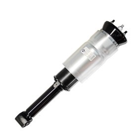 Luftfederbein 11-05-1580 von MiesslerAutomotive günstig für 378,70 € online kaufen