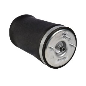 Luftfeder, Fahrwerk 1100-01-5579 von MiesslerAutomotive günstig für 154,34 € online kaufen