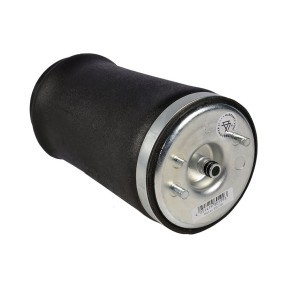 Luftfeder, Fahrwerk 1101-01-5580 von MiesslerAutomotive günstig für 154,34 € online kaufen