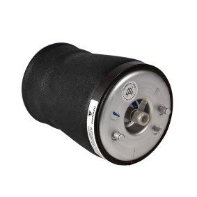 Luftfeder, Fahrwerk 1103-01-0356 von MiesslerAutomotive günstig für 162,34 € online kaufen