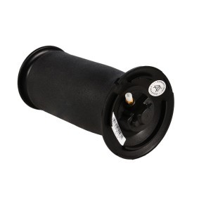 Luftfeder, Fahrwerk 1104-01-5602 von MiesslerAutomotive günstig für 168,07 € online kaufen