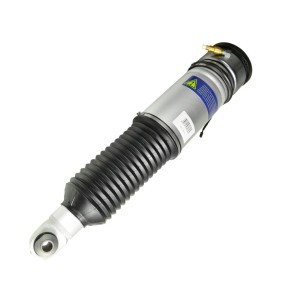 Luftfederbein 1106-01-5536 von MiesslerAutomotive günstig für 455,73 € online kaufen