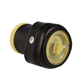 Luftfeder, Fahrwerk 1109-01-0078 von MiesslerAutomotive günstig für 149,38 € online kaufen