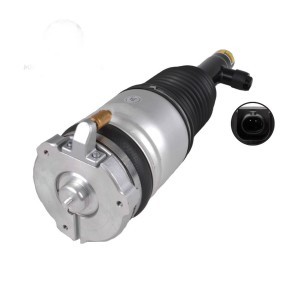Compre Amortecedor pneumático da MiesslerAutomotive 11132-01-9548 a um preço baixo por 731,40 €