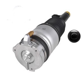 Compre Amortecedor pneumático da MiesslerAutomotive 11133-01-9549 a um preço baixo por 731,40 €