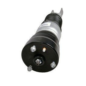 Luftfederbein 11185-01-5137 von MiesslerAutomotive günstig für 873,06 € online kaufen