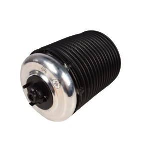 Achetez des Ressort pneumatique MiesslerAutomotive 1131-01-01AA à prix pour 347,76 €