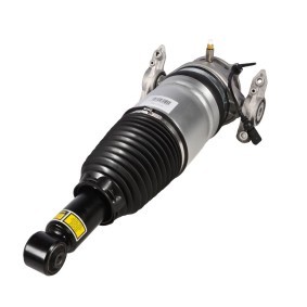 Luftfederbein 1168-01-1908 von MiesslerAutomotive günstig für 582,36 € online kaufen