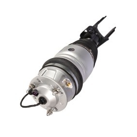 Luftfederbein 1170-01-3905 von MiesslerAutomotive günstig für 582,36 € online kaufen