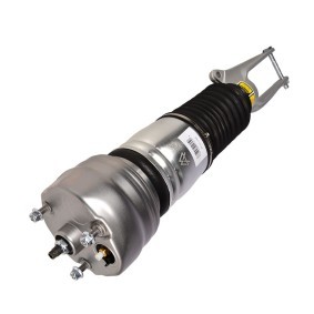 Luftfederbein 1181-01-5123 von MiesslerAutomotive günstig für 582,36 € online kaufen