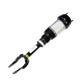 Luftfederbein 1196-01-4966 von MiesslerAutomotive günstig für 496,38 € online kaufen