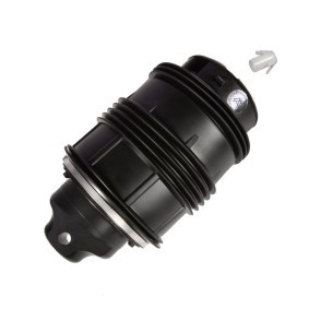 Luftfeder, Fahrwerk 1201-01-0925 von MiesslerAutomotive günstig für 325,35 € online kaufen