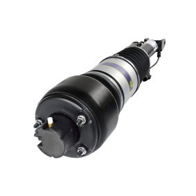 Luftfederbein 1210-01-6213 von MiesslerAutomotive günstig für 530,61 € online kaufen