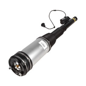 Osta Ilmajousijalka MiesslerAutomotive:llä 1226-01-5013 edullisesti hintaan 517,16 €
