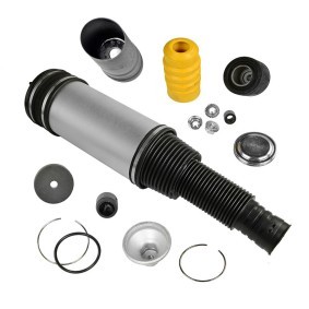Luftfeder, Fahrwerk 1227-01-5013 von MiesslerAutomotive günstig für 336,92 € online kaufen