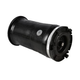 Osta Ilmajousi MiesslerAutomotive:llä 1246-01-8306 edullisesti hintaan 200,41 €