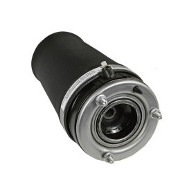 Compre Mola pneumática da MiesslerAutomotive 1248-01-2570 a um preço baixo por 278,15 €
