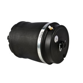 Compre Mola pneumática da MiesslerAutomotive 1262-01-0082 a um preço baixo por 235,05 €