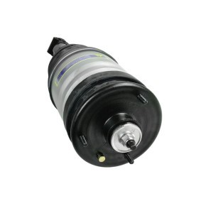 Luftfederbein 1269-01-0309 von MiesslerAutomotive günstig für 395,34 € online kaufen
