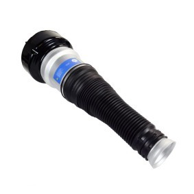 Luftfeder, Fahrwerk 163-01-5513 von MiesslerAutomotive günstig für 449,49 € online kaufen