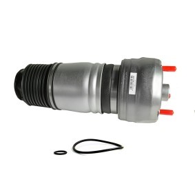Achetez des Ressort pneumatique MiesslerAutomotive 179-01-5135 à prix pour 672,78 €