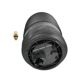 Osta Ilmajousi MiesslerAutomotive:llä 1955-01-002P edullisesti hintaan 373,63 €