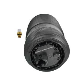 Osta Ilmajousi MiesslerAutomotive:llä 1956-01-001P edullisesti hintaan 373,63 €