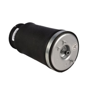 Luftfeder, Fahrwerk 196-01-4613 von MiesslerAutomotive günstig für 171,38 € online kaufen