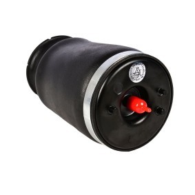 Luftfeder, Fahrwerk 198-01-5081 von MiesslerAutomotive günstig für 158,83 € online kaufen