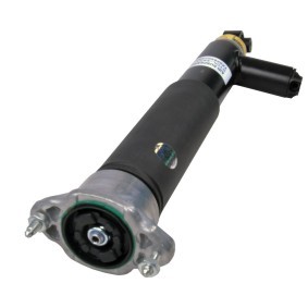 Stoßdämpfer 1981-01-4430 von MiesslerAutomotive günstig für 407,51 € online kaufen
