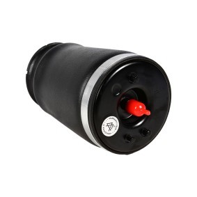 Luftfeder, Fahrwerk 199-01-5082 von MiesslerAutomotive günstig für 158,83 € online kaufen