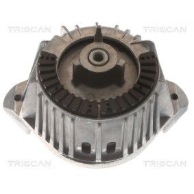 Compre Suporte, motor da TRISCAN 8505 23107 a um preço baixo por 78,25 €