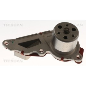 Comprar Bomba de agua de TRISCAN 8600 10091 a bajo precio de 60,16 €