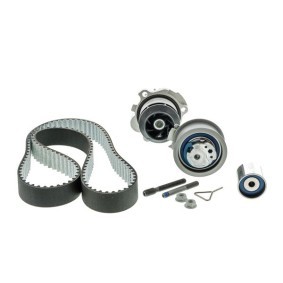 Acquista Kit cinghia distribuzione, pompa acqua da AISIN TKVG-7901 a buon mercato per soli 144,04 €