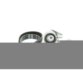 Compre Jogo de correias dentadas da AISIN TSFC-015 a um preço baixo por 110,77 €