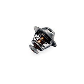 Comprar Termostato, refrigerante de GK 701415 a bajo precio de 30,26 €