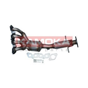 Compre Catalisador da KAMOKA 8015067 a um preço baixo por 428,68 €