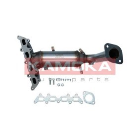 Compre Catalisador da KAMOKA 8015091 a um preço baixo por 272,01 €