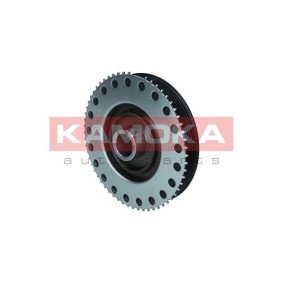 Achetez des Poulie damper (vilebrequin) KAMOKA RW095 à prix pour 118,91 €