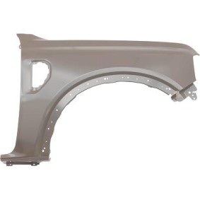 Acquista Parafango da DIEDERICHS online per Ranger Chassis Cab a prezzi moderati