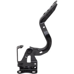 Compre Capô de DIEDERICHS online para Prius PHV Hatchback (_W52_) a preços moderados