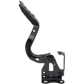 Compre Capô de DIEDERICHS online para Prius PHV Hatchback (_W52_) a preços moderados