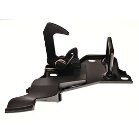 Compre Capó de MAXGEAR online para ROOMSTER (5J) a precios moderados
