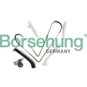 Compre Kit de distribuição da Borsehung B10238 a um preço baixo por 140,66 €